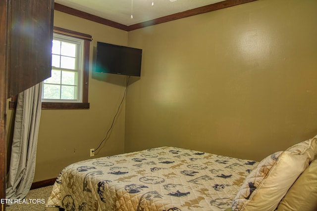 3636 Pickett Park Hwy, Jamestown, TN 38556 - carpeted bedroom with baseboards