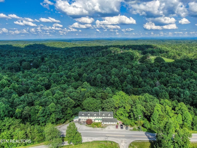 3636 Pickett Park Hwy, Jamestown, TN 38556 - view of subject property with a heavily wooded area