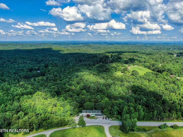 3636 Pickett Park Hwy, Jamestown, TN 38556 - drone / aerial view of a forest