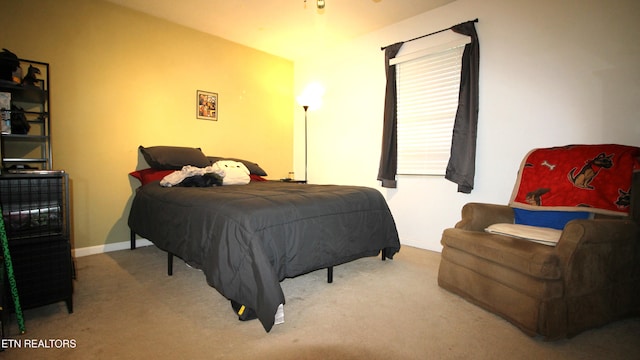 2523 Chukar Rd, Knoxville, TN 37923 - photo 8