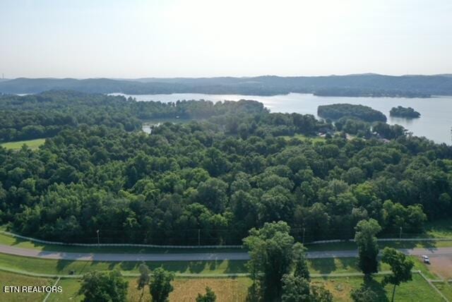 1501 New Hope Rd, Rockwood, TN 37854 - photo 1