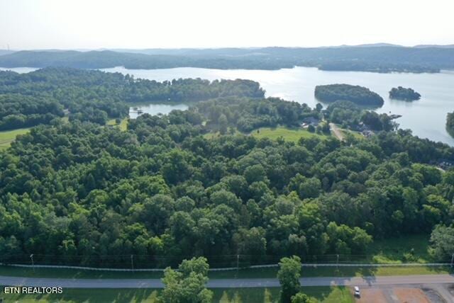 1501 New Hope Rd, Rockwood, TN 37854 - photo 5