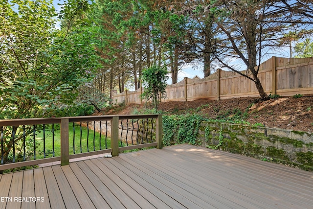 7008 Shady Knoll Ln, Knoxville, TN 37919 - photo 7