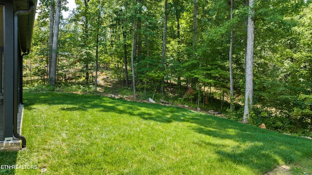 200 Nuhya Trce, Loudon, TN 37774 - photo 47