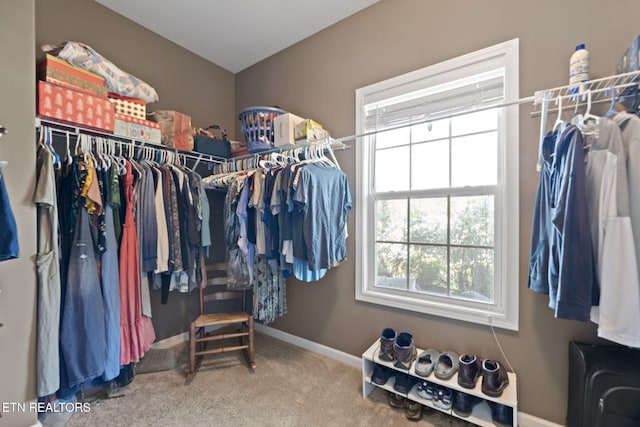 533 Carrington Blvd, Lenoir City, TN 37771 - photo 26