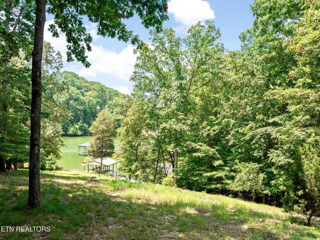 134 Holly Ln, Kingston, TN 37763 - photo 50