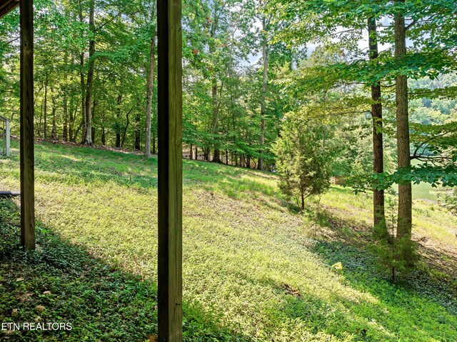 134 Holly Ln, Kingston, TN 37763 - photo 51