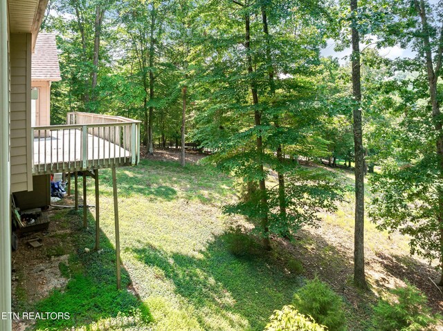134 Holly Ln, Kingston, TN 37763 - photo 53