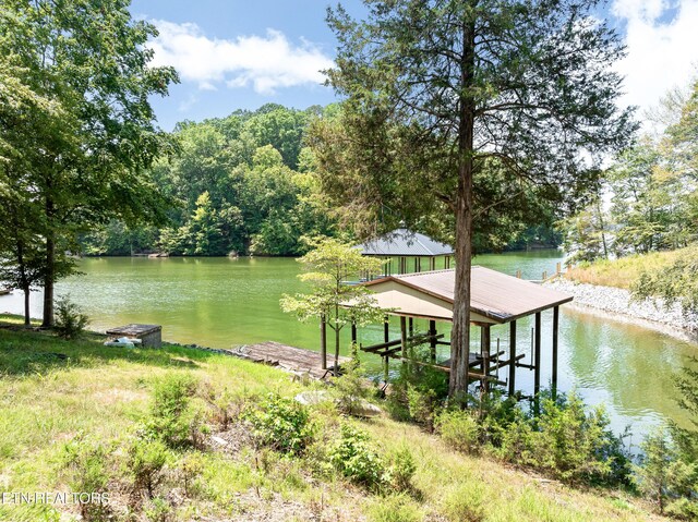 134 Holly Ln, Kingston, TN 37763 - photo 54