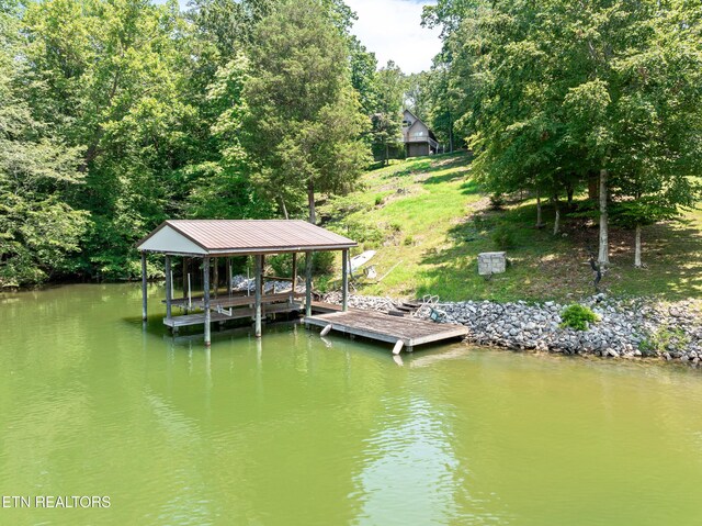 134 Holly Ln, Kingston, TN 37763 - photo 55