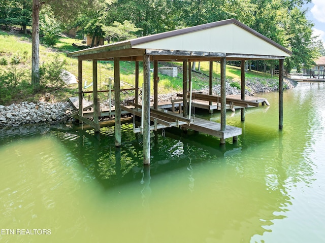 134 Holly Ln, Kingston, TN 37763 - photo 56