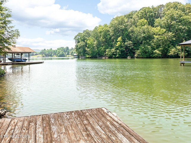 134 Holly Ln, Kingston, TN 37763 - photo 58