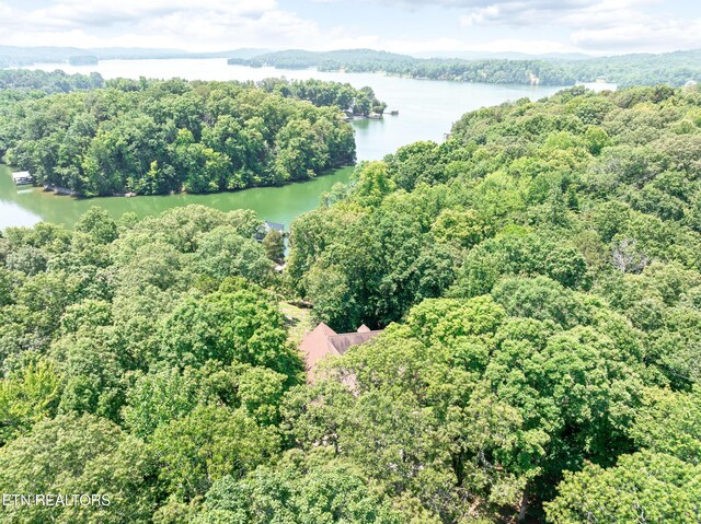 134 Holly Ln, Kingston, TN 37763 - photo 60