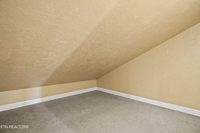 10867 Carpenter Run Ln Unit 44, Knoxville, TN 37932 - bonus room with vaulted ceiling, carpet floors, and a textured ceiling