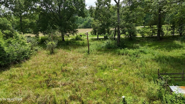 393 SW Sim Goodwin Rd, Mcdonald, TN 37353 - view of local wilderness