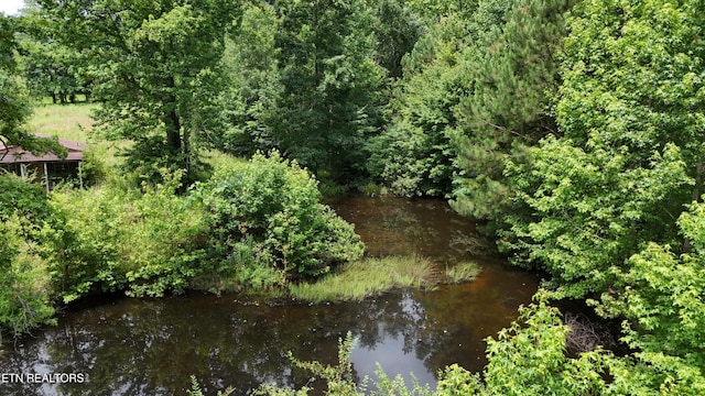 393 SW Sim Goodwin Rd, Mcdonald, TN 37353 - water view