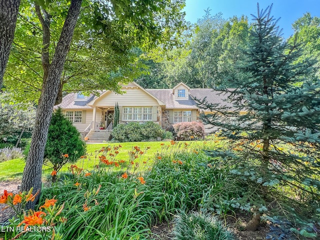 12218 Torrey Pines Pt, Knoxville, TN 37934 - view of front facade featuring stone siding and a front yard