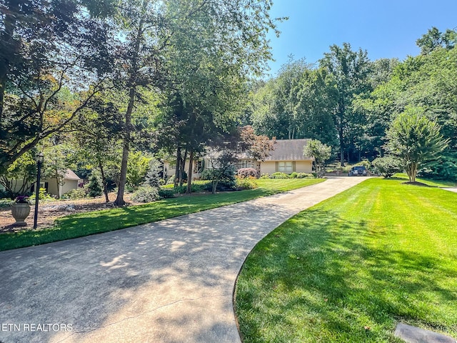 12218 Torrey Pines Pt, Knoxville, TN 37934 - view of community featuring driveway and a yard