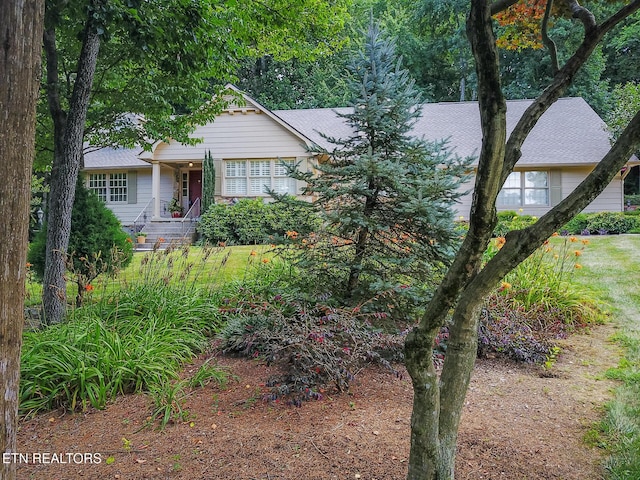 12218 Torrey Pines Pt, Knoxville, TN 37934 - photo 50