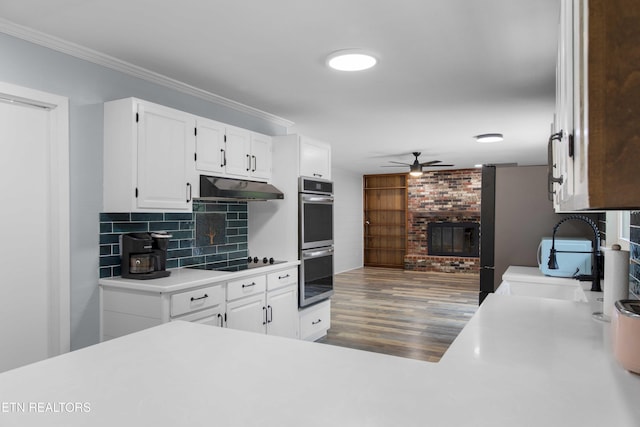 101 Concord Rd, Oak Ridge, TN 37830 - kitchen featuring stainless steel appliances, a fireplace, a ceiling fan, under cabinet range hood, and white cabinetry