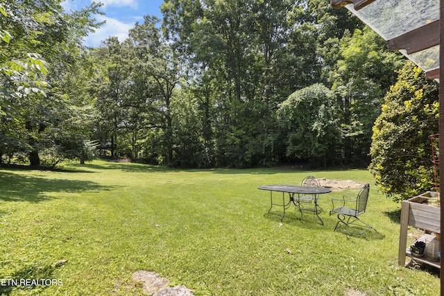 101 Concord Rd, Oak Ridge, TN 37830 - view of green lawn