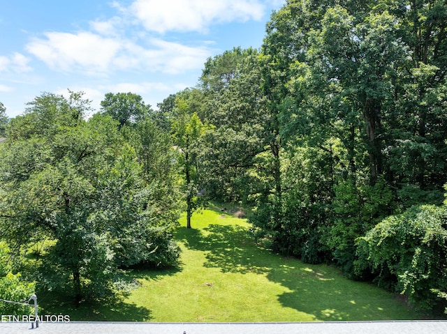 101 Concord Rd, Oak Ridge, TN 37830 - view of green lawn