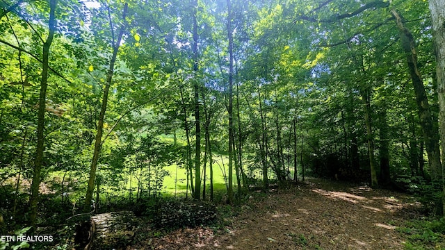 101 Concord Rd, Oak Ridge, TN 37830 - view of tree filled area