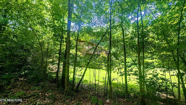 101 Concord Rd, Oak Ridge, TN 37830 - view of nature
