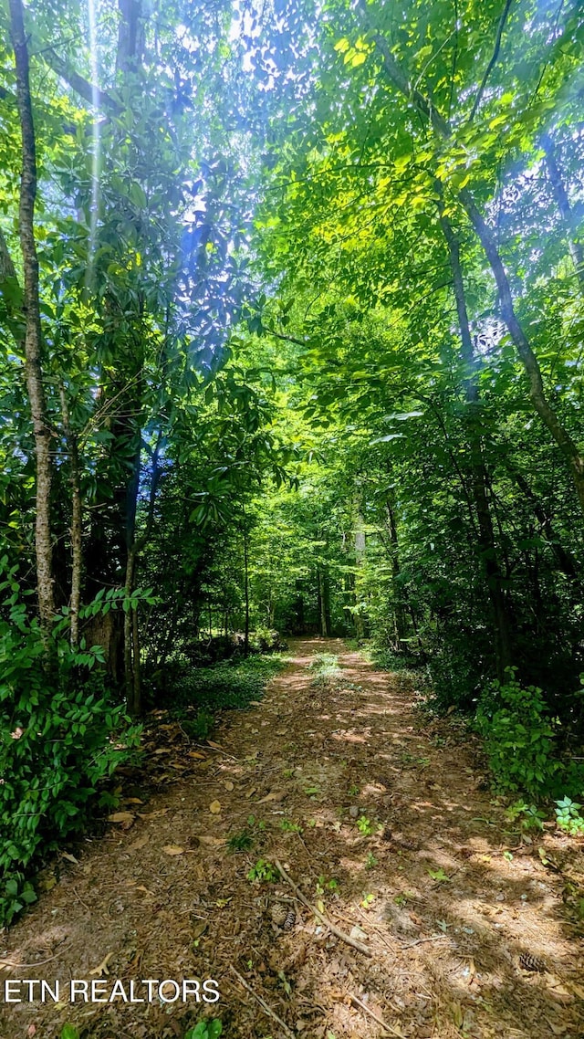 101 Concord Rd, Oak Ridge, TN 37830 - view of wooded area