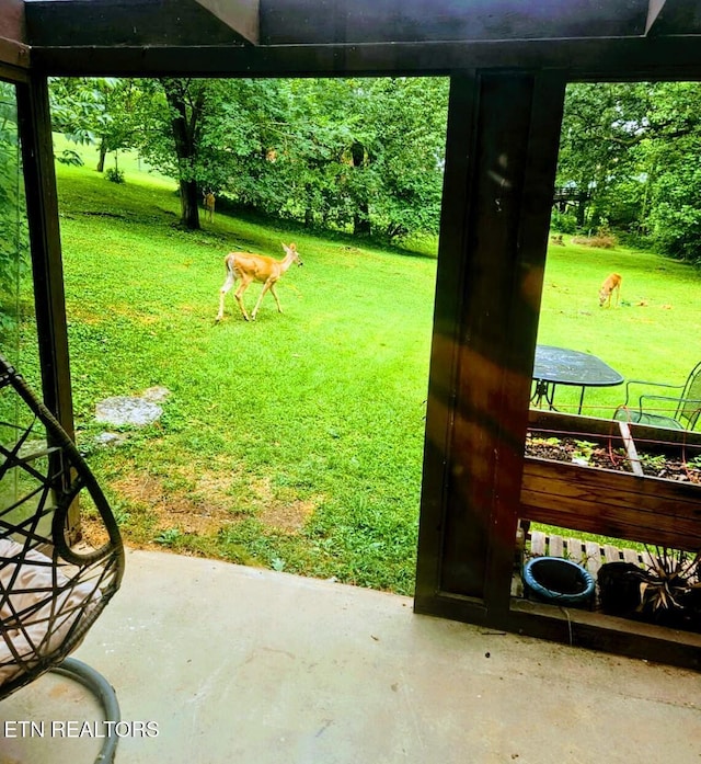 101 Concord Rd, Oak Ridge, TN 37830 - view of grassy yard with a patio