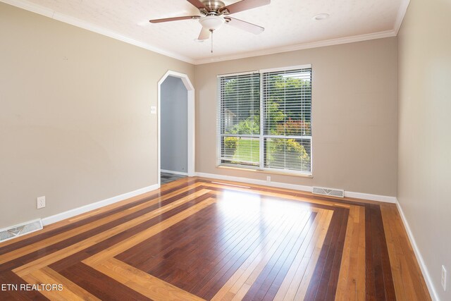 813 Naples Rd, Knoxville, TN 37923 - photo 8