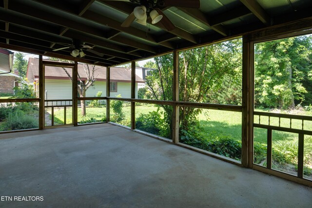 813 Naples Rd, Knoxville, TN 37923 - photo 28