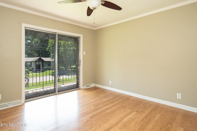 813 Naples Rd, Knoxville, TN 37923 - photo 13