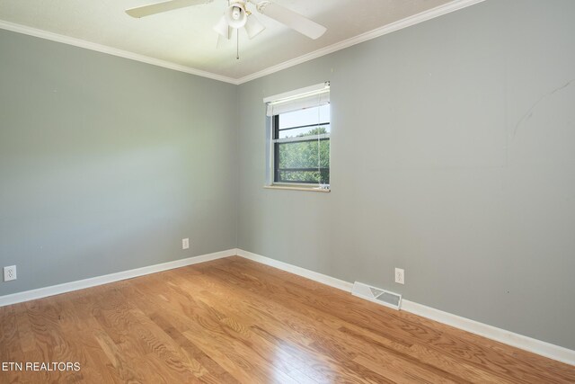 813 Naples Rd, Knoxville, TN 37923 - photo 14
