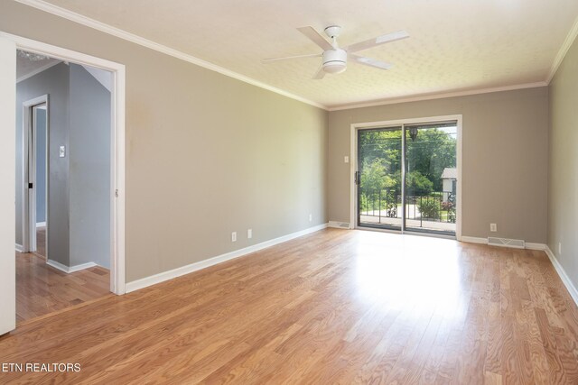 813 Naples Rd, Knoxville, TN 37923 - photo 17