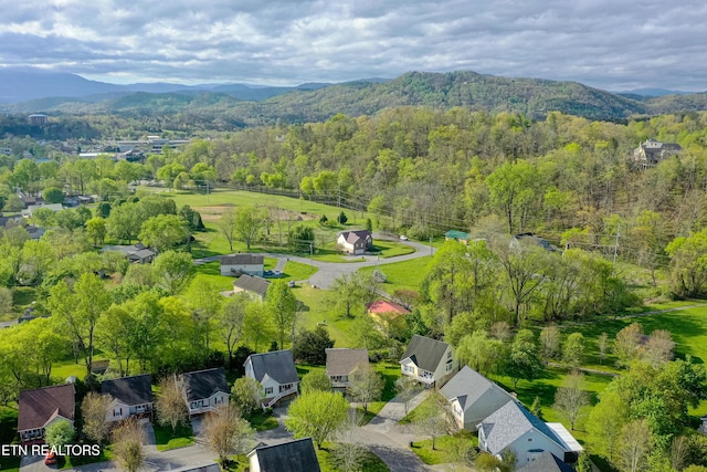 814 Plantation Dr, Pigeon Forge, TN 37863 - bird's eye view of a heavily wooded area and a mountain backdrop