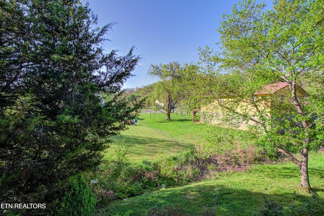 814 Plantation Dr, Pigeon Forge, TN 37863 - view of grassy yard