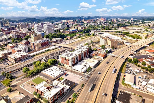 333 W Depot Ave Unit 421, Knoxville, TN 37917 - photo 45