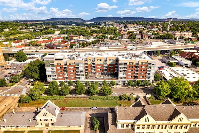 333 W Depot Ave Unit 421, Knoxville, TN 37917 - photo 47