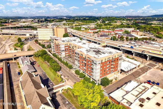 333 W Depot Ave Unit 421, Knoxville, TN 37917 - photo 48