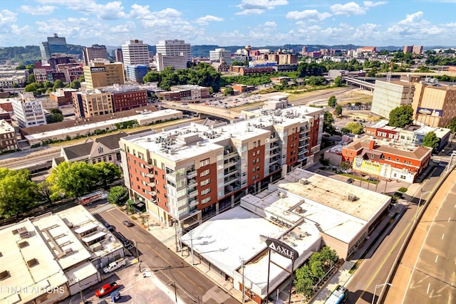 333 W Depot Ave Unit 421, Knoxville, TN 37917 - photo 49
