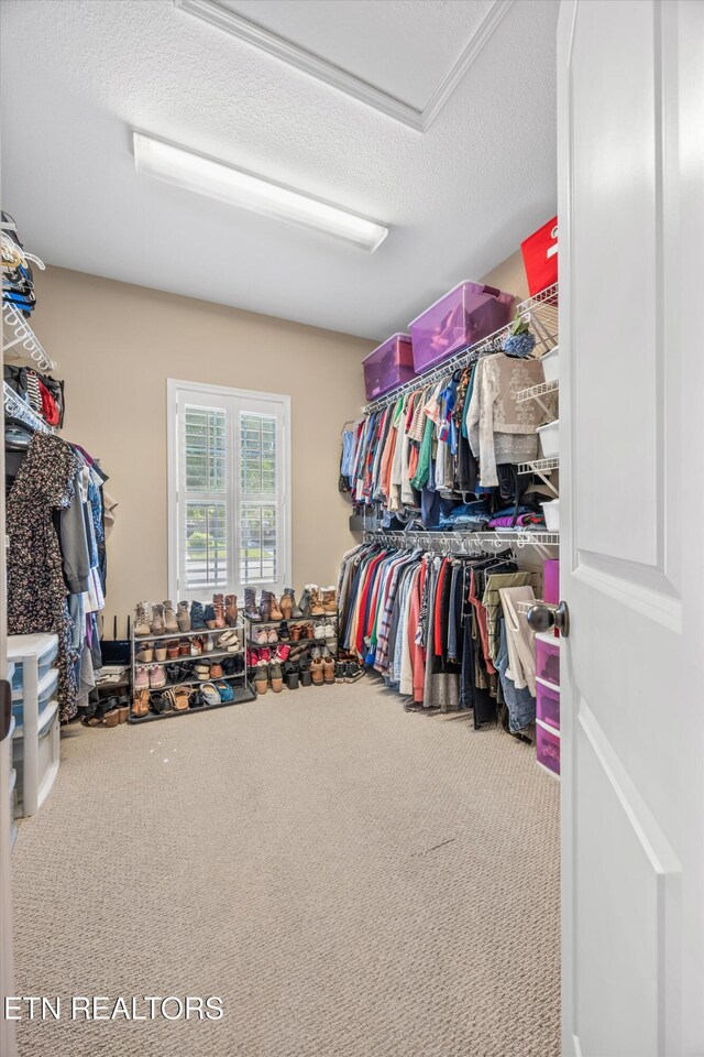 1213 Whisper Trace Ln, Knoxville, TN 37919 - spacious closet with carpet floors