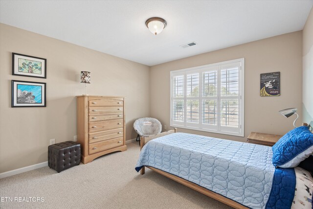 1213 Whisper Trace Ln, Knoxville, TN 37919 - carpeted bedroom featuring baseboards