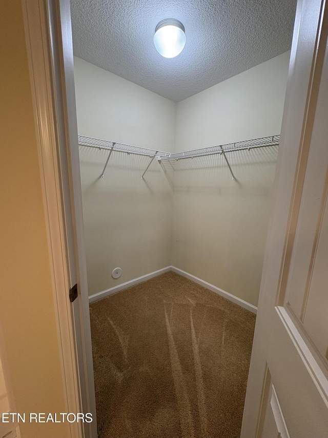 8106 Spice Tree Way, Knoxville, TN 37931 - walk in closet featuring carpet floors