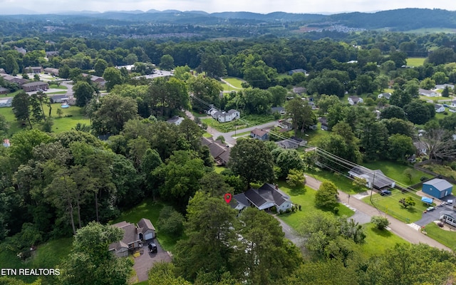 5404 NE Weston Rd, Knoxville, TN 37918 - photo 34