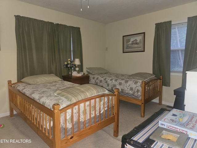 199 Pear Tree Way, Del Rio, TN 37727 - carpeted bedroom with baseboards