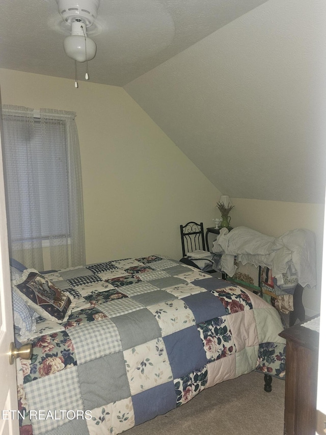 199 Pear Tree Way, Del Rio, TN 37727 - carpeted bedroom featuring vaulted ceiling