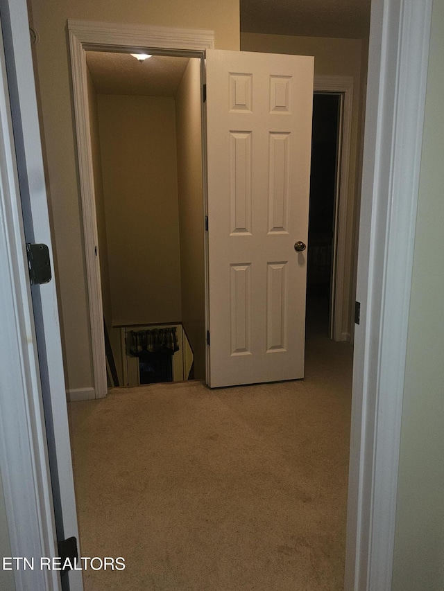 199 Pear Tree Way, Del Rio, TN 37727 - hall with carpet flooring
