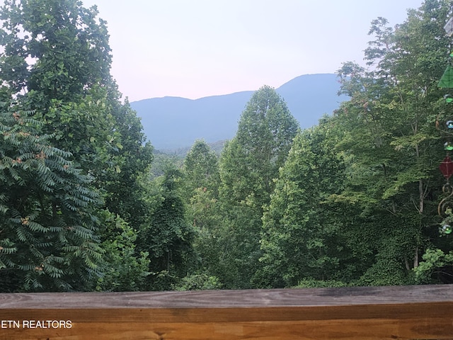 199 Pear Tree Way, Del Rio, TN 37727 - view of mountain backdrop
