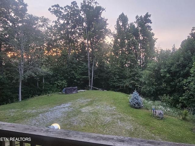 199 Pear Tree Way, Del Rio, TN 37727 - view of yard